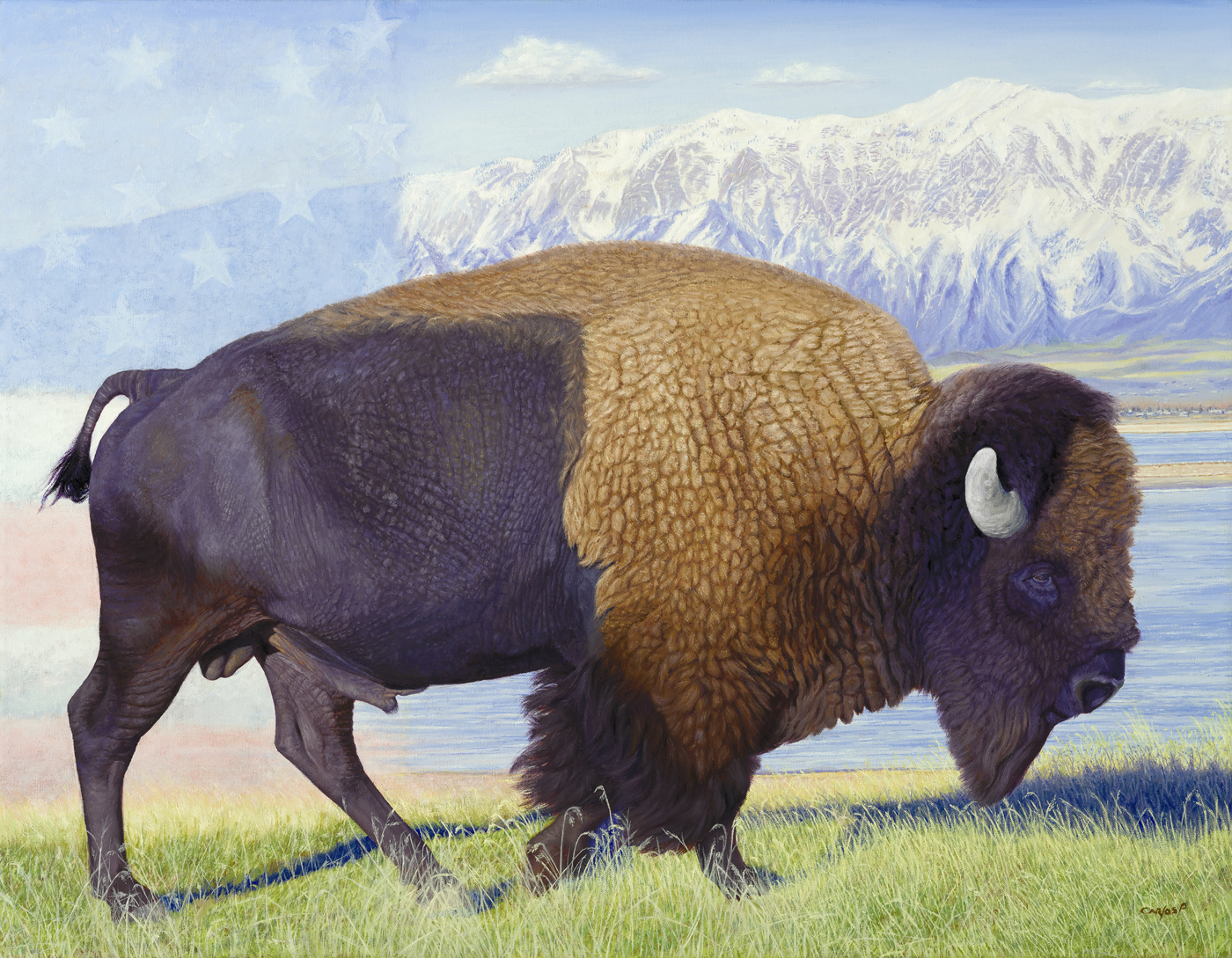 American Buffalo